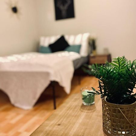Saniertes Studio - Elisa - Mit Balkon, Wlan, Smart-Tv & Kueche In City-Naehe 에르푸르트 외부 사진