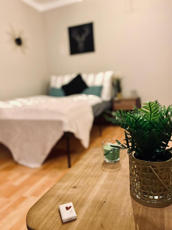 Saniertes Studio - Elisa - Mit Balkon, Wlan, Smart-Tv & Kueche In City-Naehe 에르푸르트 외부 사진