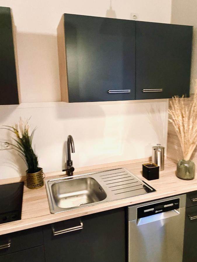 Saniertes Studio - Elisa - Mit Balkon, Wlan, Smart-Tv & Kueche In City-Naehe 에르푸르트 외부 사진